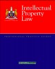 Ebook Intellectual Property Law: Phần 2