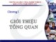 Bài giảng Quản lý dự án phần mềm: Chương 1 - Trần Thị Kim Chi