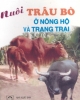 Ebook Nuôi trâu bò ở nông hộ và trang trại - TS. Phùng Quốc Quảng