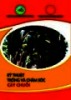 Ebook Kỹ thuật trồng và chăm sóc cây chuối