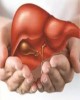 Viêm gan - Biết để sống tốt hơn: Chương 1 - Những kiến thức cơ bản về gan