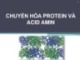 Bài giảng Chuyển hóa Protein và Acid amin