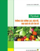 Ebook Kỹ thuật trồng các giống lạc, đậu đỗ, rau quả và cây ăn củ: Phần 2