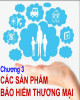 Bài giảng Bảo hiểm: Chương 3 - ThS. Cao Tuấn Linh