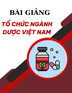 Bài giảng Tổ chức ngành Dược Việt Nam